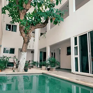 Cozy Zazil-ha Aparthotel Playa del Carmen